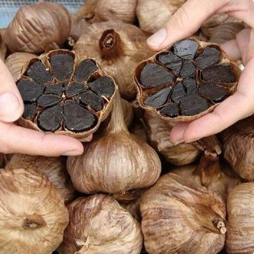 تصویر 4 از سیر سیاه خشک با فرآیند تولید استاندارد و کیفیت یکنواخت